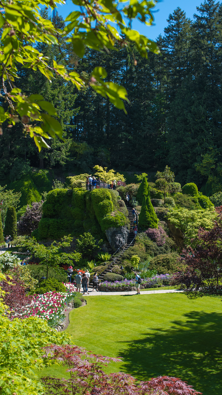 Sunken Garden 